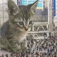 Merc Man (@nowforevermore) 's Twitter Profile