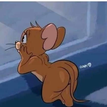 AhmedHassa98825's profile picture. 