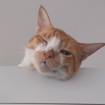 Moogeさんのプロフィール画像
