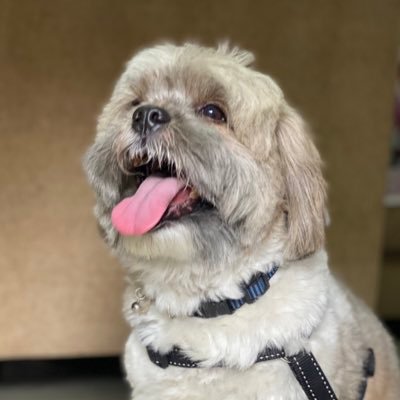 diyabhatia17's profile picture. 