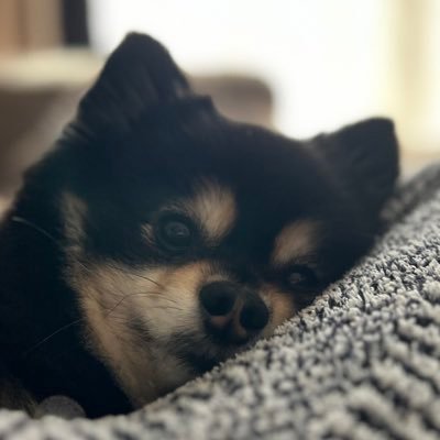 全然復活しないユフィさんのプロフィール画像