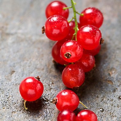 Sonhd2021's profile picture. chăm học