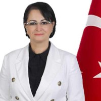 Sema Genç🇹🇷(@sema_2023) 's Twitter Profileg