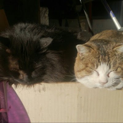 YamashitaH44204's profile picture. 