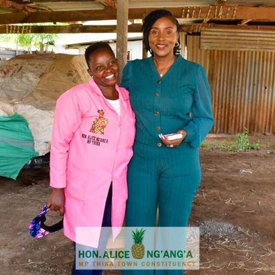 Hon Alice Ng'aNg'a blogger