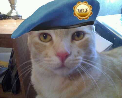 catsluvmetoo's profile picture. Hi! I'm Deric and i’m spoiled rotten.