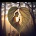 Purnima Rawat (@purnimaraw77827) Twitter profile photo Purnima Rawat (@purnimaraw77827) Twitter profile photo