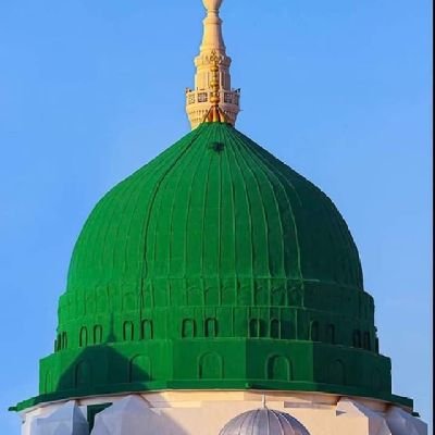 NaeemKh4468560's profile picture. 