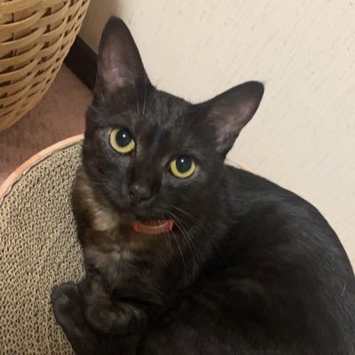 まゆさんのプロフィール画像