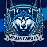 Risingwolf(@Risingwolf98) 's Twitter Profile Photo