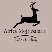 Africa Moja Safaris(@africamoja_s) 's Twitter Profile Photo