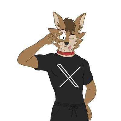 just a furry who wants to draw and make music