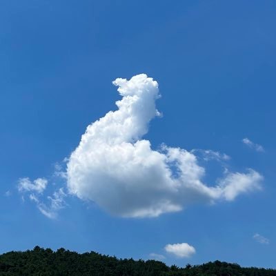 난 X(트위터)의 오리! 구름다이빙오리다!

いらっしゃいませー