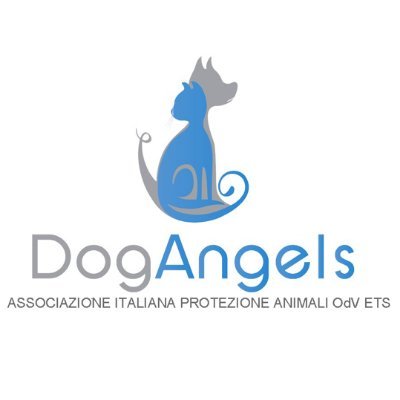 Siamo un gruppo di animalisti tutti volontari per la protezione e tutela degli animali.
A non-profit volunteer organization to conserve and protect animals.