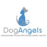 DogAngelsOnlus's profile picture. Siamo un gruppo di animalisti tutti volontari per la protezione e tutela degli animali.
A non-profit volunteer organization to conserve and protect animals.