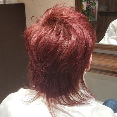 5542kobaD's profile picture. プロレスファン歴29年‼️LOS TRANQUILOS de JAPON
内藤哲也選手の熱狂的ファン👁‍🗨
💣🐉💀☠とは繋がってる‼️

アニメ・ONE PIECEが大好き。尊敬する人、内藤哲也選手・小橋建太さん・松井秀喜さん。