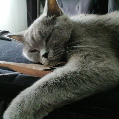 AtesOzupek3142's profile picture. karpuzsuz kedy 
TikTok:kedy12028