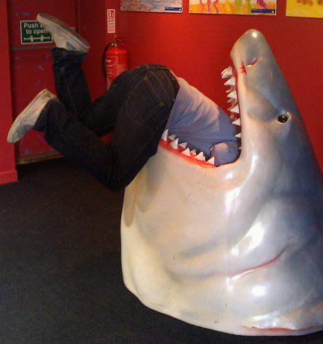 travellinghag's profile picture. full time day dreamer