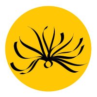 Onemai Foundation (@onemai_fdn) Twitter profile photo