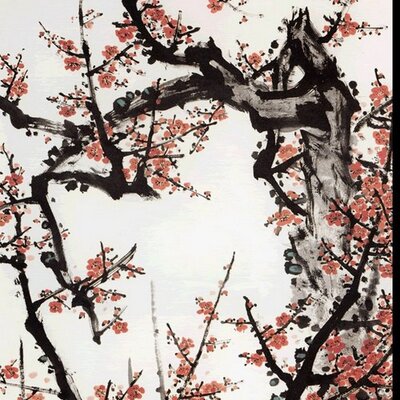 kspark221's profile image