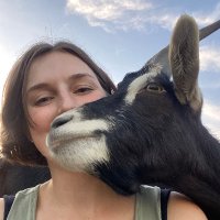 Kika Lexová ✨is available for work ✨ (@yumkrill) 's Twitter Profile