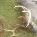 Jesse Kearns - @jesse_kearns - Twitter