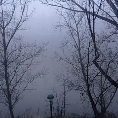 CarbaCarba369's profile picture. 