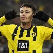 VigeBVB Profile Picture