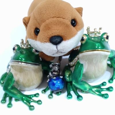 全国に残る、いわゆる「戦争遺跡」を探訪することを生き甲斐とするカエルです🐸
稚拙な内容ではございますが、これまでに調べてきた戦争遺跡をSNSやホームページでご紹介をしていきます。よろしくお願いします🐸
