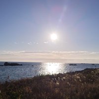 はっちゃん (@jflwb2uys8iqotl) Twitter profile photo