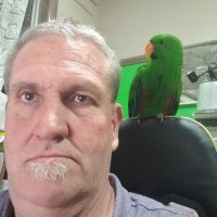 Brett Wilkinson (@brettwil03) 's Twitter Profile
