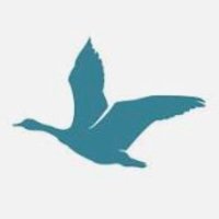 Ward End Residents' Glebe Farm & Tile Cross (@wardendgftc) 's Twitter Profile Photo Ward End Residents' Glebe Farm & Tile Cross (@wardendgftc) 's Twitter Profile Photo