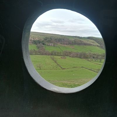 SteveHey2's profile picture. 