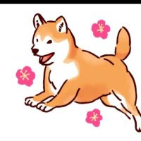 わんこ🐾毎日投稿?ときどき鳴き声🎶 (@03_wannko) 's Twitter Profile Photo わんこ🐾毎日投稿?ときどき鳴き声🎶 (@03_wannko) 's Twitter Profile Photo