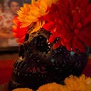 Leona Mcdaniel - @McdanielLe91401 - Twitter