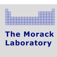 MorackLab(@tobiasmorack) 's Twitter Profile Photo