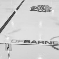 DF Barnes Arena (@dfbarnesarena) 's Twitter Profile