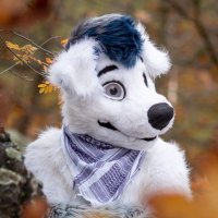 Hungarian Diva Doggo(@WarriorAutobot) 's Twitter Profile Photo