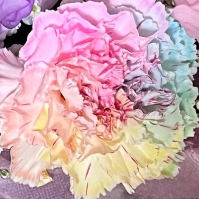 お芝居を見るのが好き😆ドラマ、舞台(バレエ🩰、ミュージカル、宝塚)が好き✨仲間由紀恵さんと宝塚では鳳月杏さんを応援しています🕺無言フォロー失礼します🙏