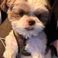 Michelle (@nicunurse143) 's Twitter Profile Photo Michelle (@nicunurse143) 's Twitter Profile Photo