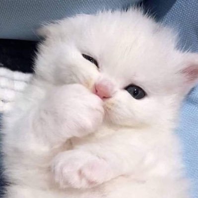 s_bewty's profile picture. 