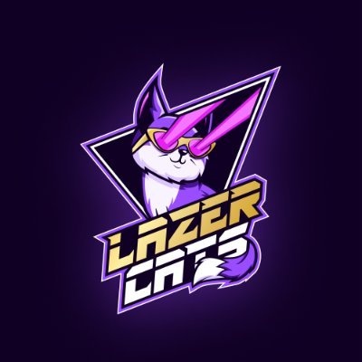 Lazer Cats® is a ukrainian esports performance CS2 team headquartered in Kyiv, laser-focused on levelling up every gamer