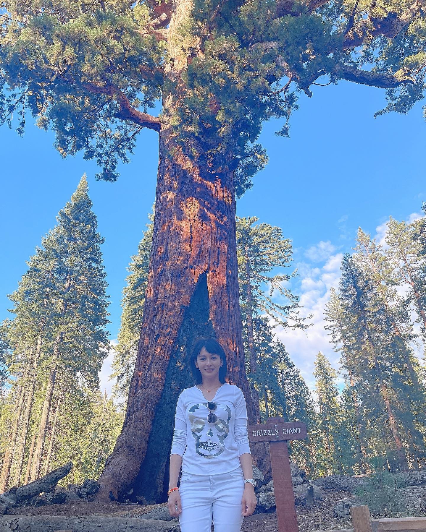 petatoughs71034's profile picture. 幸福は自分自身の人生の主役であり続けることから生まれる。