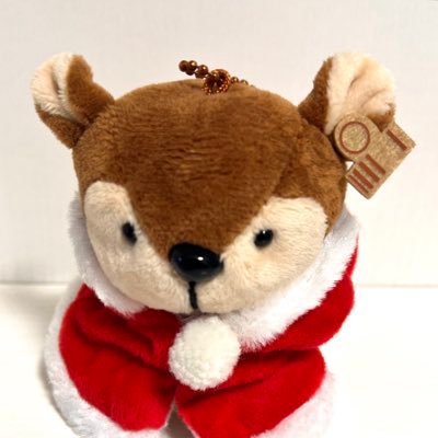 bi_zi93757's profile picture. 