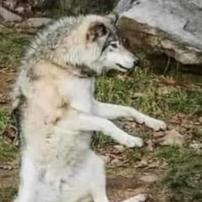 justin9sam's profile picture. 