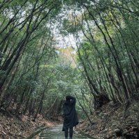あくび / akubi (@ikiru_mouhu) 's Twitter Profile Photo あくび / akubi (@ikiru_mouhu) 's Twitter Profile Photo