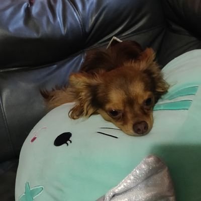 Jordeluxe's profile picture. 