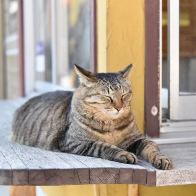 三流社畜です。労働環境に恵まれない方々を励まします！共に戦いましょう！ブラック企業を駆逐します！ぜひストレスの捌け口にしてください