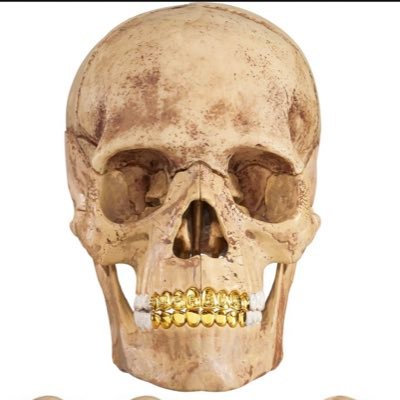 911kub's profile picture. get rich or die tryin