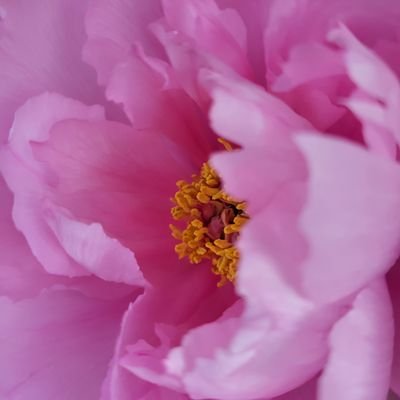 wQ12JxHALtSvQsu's profile picture. 